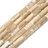 Natural Trochid Shell/Trochus Shell Beads Strands SHEL-A006-06B-1