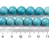 Dyed Natural Magnesite Beads Strands G-P558-A01-01B-5