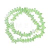 Electroplate Glass Beads Strands EGLA-C005-02A-AB01-2