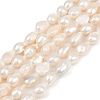 Natural Cultured Freshwater Pearl Beads Strands PEAR-P064-20J-01A-2