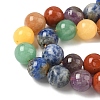 Chakra Natural Mixed Gemstone Beads Strands G-P574-A03-10mm-4