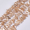 Electroplate Shell Pearl Beads Strands SSHEL-S261-01-2