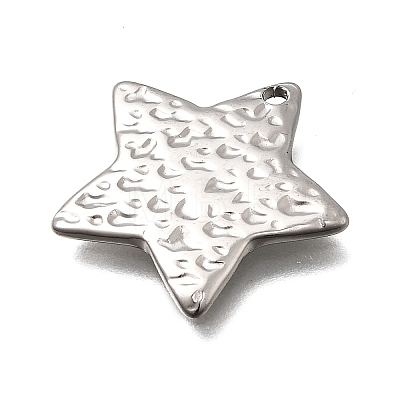 304 Stainless Steel Pendants STAS-Z163-01P-01-1