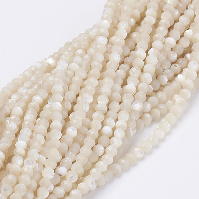 Natural Shell Beads Strands G-E354-03-1