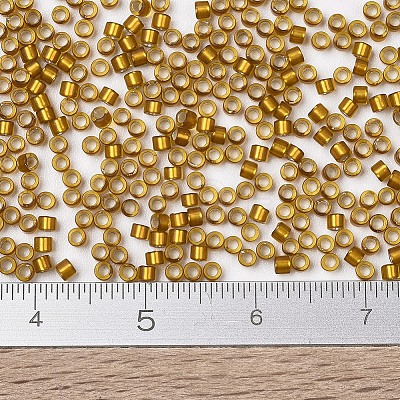 MIYUKI Delica Beads X-SEED-J020-DB1681-1
