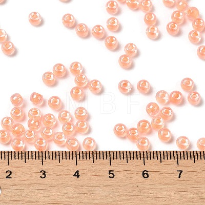 Glass Seed Beads SEED-H002-L-A235-1