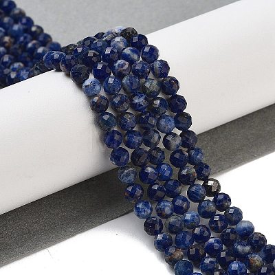 Natural Sodalite Beads Strands G-B088-C03-04-1