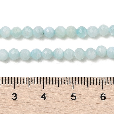 Natural Freshwater Shell Dyed Beads Strands SHEL-R100-12A-02-1