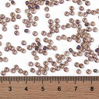 TOHO Round Seed Beads SEED-JPTR08-0927-1