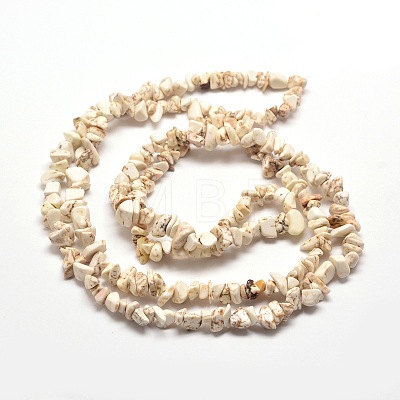 Magnesite Chip Bead Strands G-M205-75-1