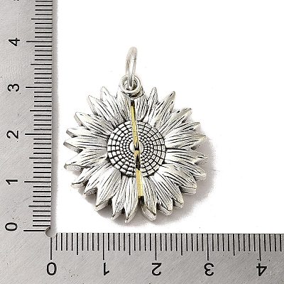 Tibetan Style Alloy Pendant FIND-A038-05AS-1