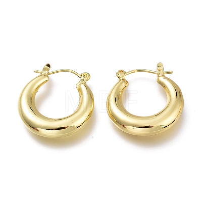 Brass Hoop Earrings EJEW-H104-21G-1
