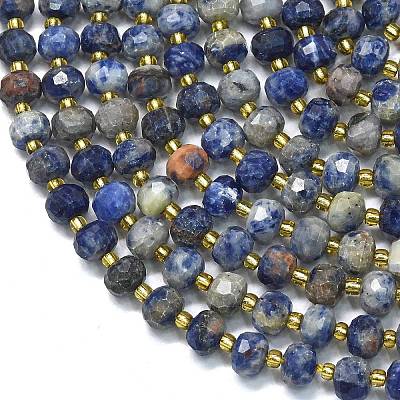 Natural Sodalite Beads Strands G-K389-E74-01C-1