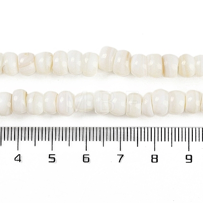 Natural Freshwater Shell  Beads Strands BSHE-H109-07-1