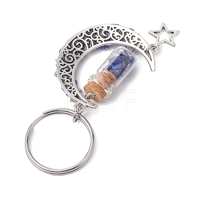 5Pcs 5 Styles Natural Lapis Lazuli & Red Jasper & Amazonite & Tiger Eye & White Moonstone Keychain KEYC-JKC00947-1