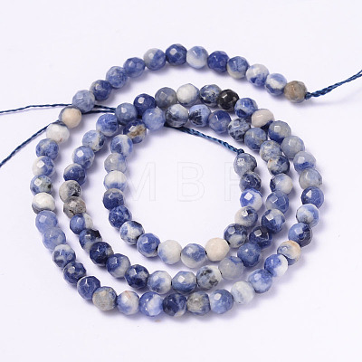Faceted Natural Sodalite Round Bead Strands G-L377-45-4mm-1