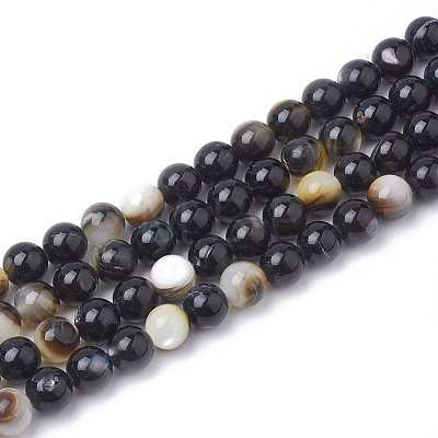 Black Lip Shell Bead Strands SSHEL-Q300-078B-1