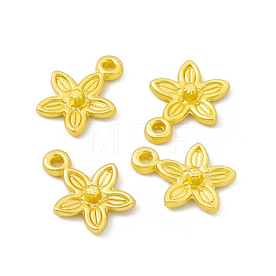 Rack Plating Alloy Charms FIND-G045-05MG-1