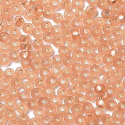 8/0 Glass Seed Beads SEED-Z001-C-E10-1