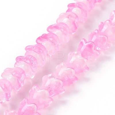 Transparent Glass Beads Strands LAMP-H061-01C-02-1