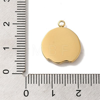 304 Stainless Steel Pendants STAS-B074-08G-12-1