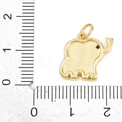 Brass Micro Pave Clear Cubic Zirconia Pendants KK-H273-20G-1