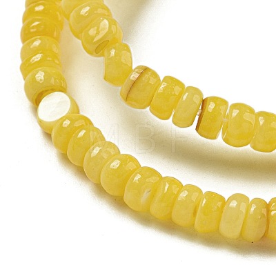 Dyed Natural Freshwater Shell Beads Strands BSHE-G039-07F-1