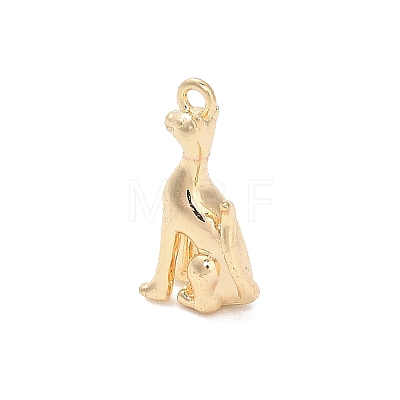 Brass Pendants LS-KK-D427-04A-G-1