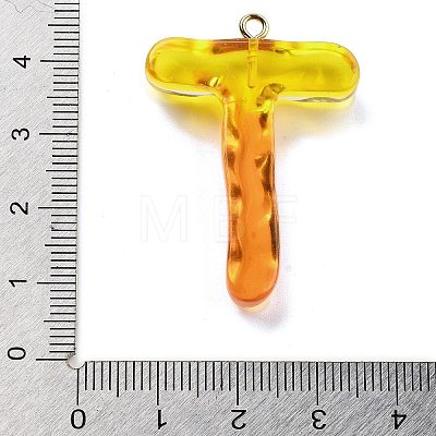 Resin Pendant FIND-Q107-01T-02-1