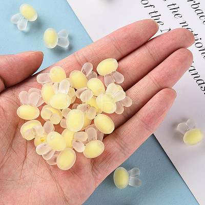 Transparent Acrylic Beads LS-TACR-S152-12C-SS2105-1