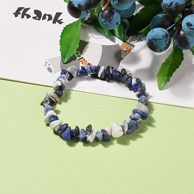 Natural Sodalite Chip Beads Stretch Bracelets BJEW-JB05765-03-1