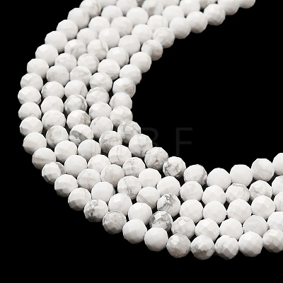 Natural Howlite Beads Strands G-E608-A01-B-1