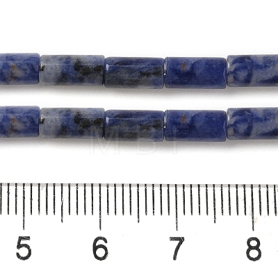 Natural Sodalite Beads Strands G-B091-A06-01-1