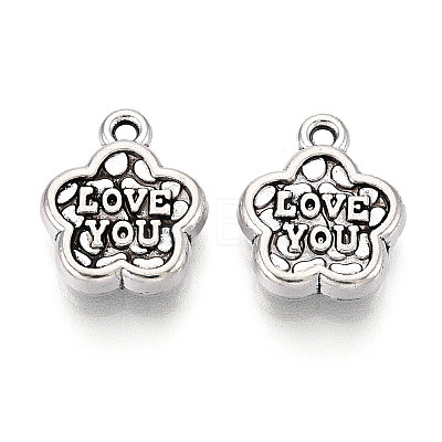 Tibetan Style Alloy Charms TIBE-N013-19AS-1