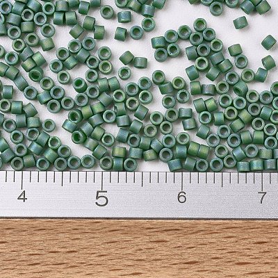 MIYUKI Delica Beads SEED-J020-DB2311-1