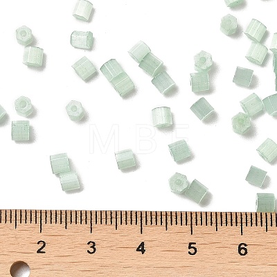 Glass Seed Beads X1-SEED-H002-D-A805-1