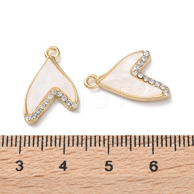 Rack Plating Alloy Acrylic  Pendants FIND-M038-13G-1