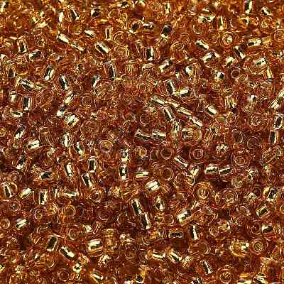 TOHO 6/0 Round Beads X-SEED-TR06-0022B-1
