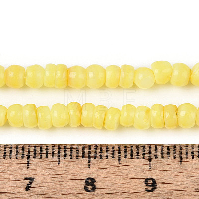 Natural Freshwater Shell Dyed Beads Strands SHEL-T020-29A-09-1