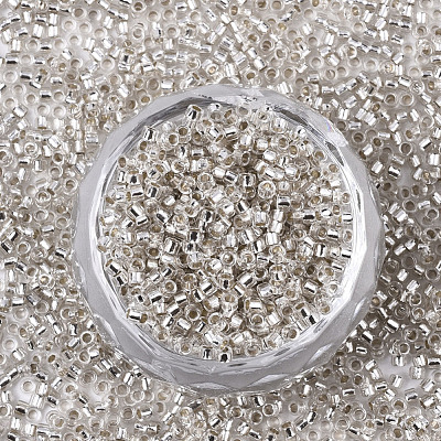 Glass Seed Beads X-SEED-S042-04B-06-1