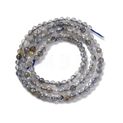 Natural Labradorite Beads Strands G-G188-B11-01-1