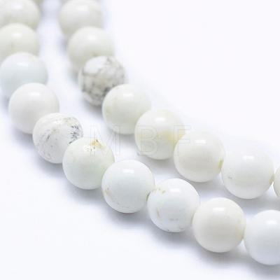 Natural Magnesite Beads Strands TURQ-G148-09-6mm-1