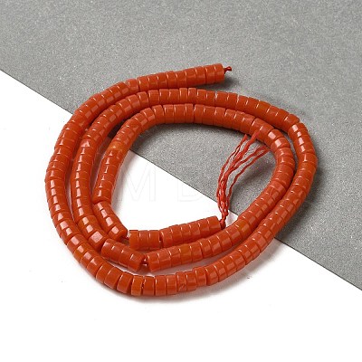 Synthetic Coral Beads Strands G-H230-50-1