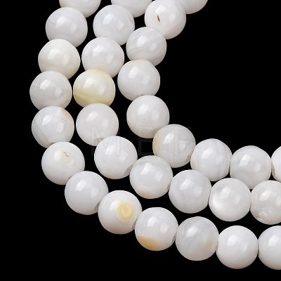 Natural Freshwater Shell Beads Strands SH-CBA2978-07D-04-1