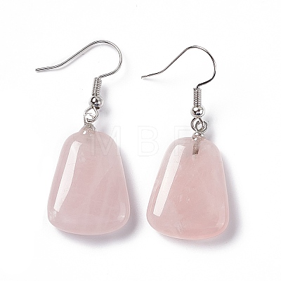 Gemstone Trapezoid Dangle Earrings EJEW-D188-02P-1