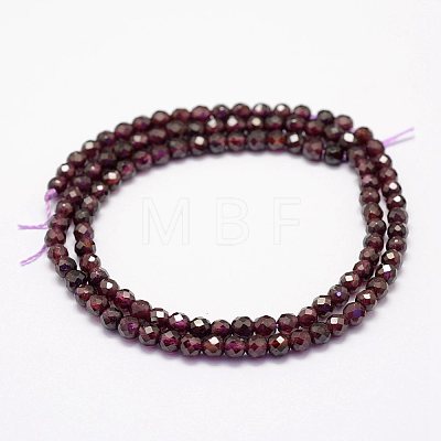 Natural Garnet Beads Strands X-G-F460-28-1