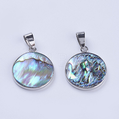 Abalone Shell/Paua Shell Pendants SSHEL-L008-04P-1