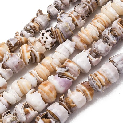 Natural Shell Beads Strands SH-CBA2978-03-1