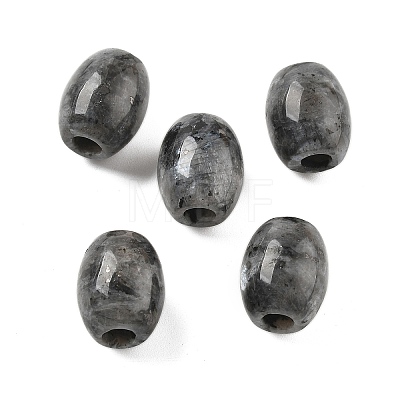 Natural Larvikite European Beads G-F580-A11-01-1