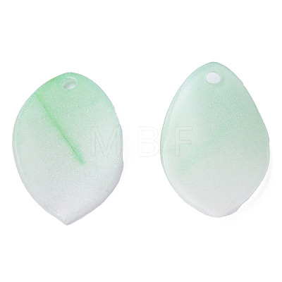 Plastic Pendants KY-N015-163-1